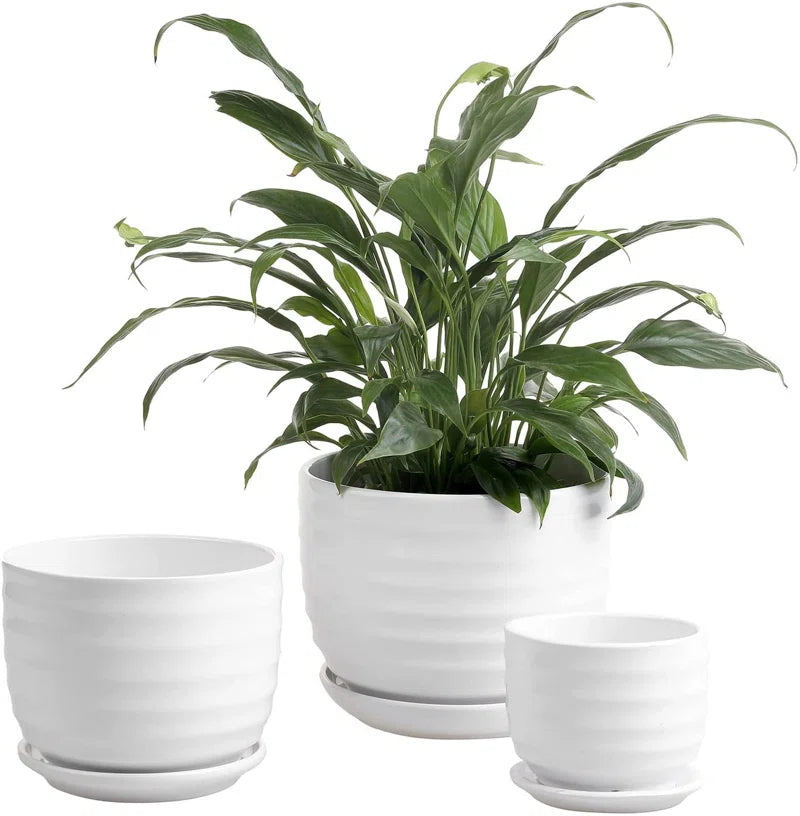 Aniece Ceramic Pot Planter Set of 3