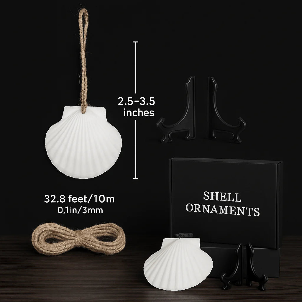 Natural Scallop Shell Ornaments 16PCS for Home Decor