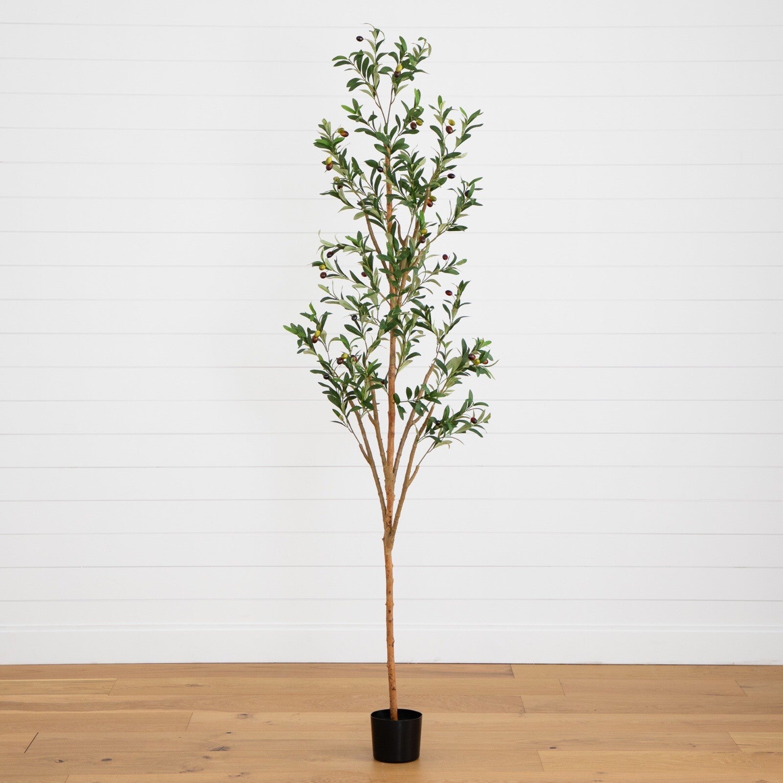 7’ Olive Minimalist Artificial Tree with Natural Trunk Home Decor. Retail $149