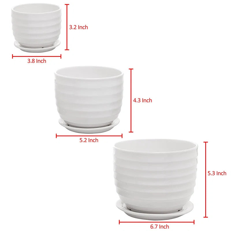 Aniece Ceramic Pot Planter Set of 3